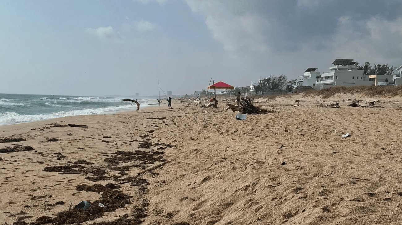 playa_2026_1bf69daf3d