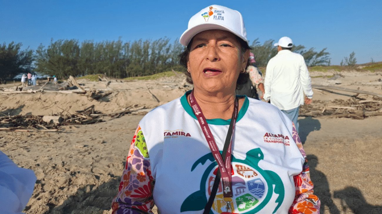 Bañistas impiden desove de tortuga lora en Playa Tesoro