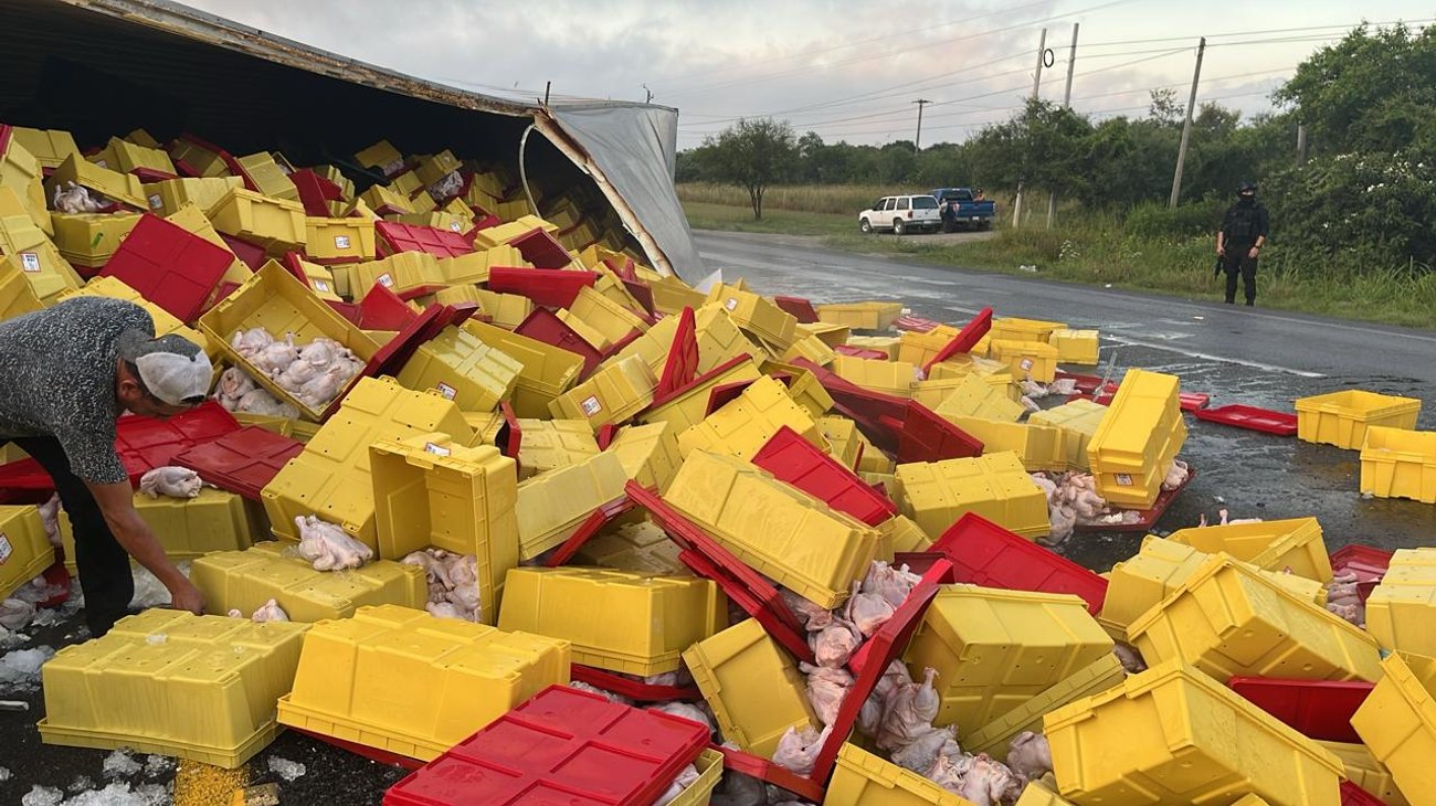 Vuelca tráiler cargado con una tonelada de pollos en Montemorelos
