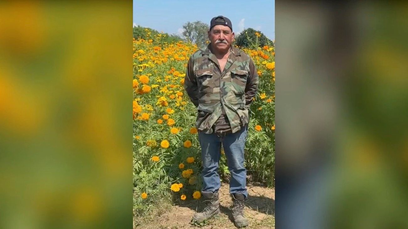 Demuestra su resiliencia como productor de flor de cempasúchil