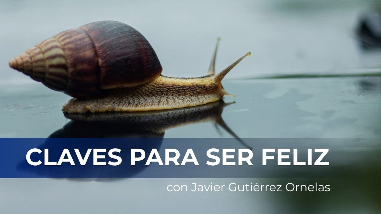 Cómo entrenar la paciencia y mejorar la regulación emocional