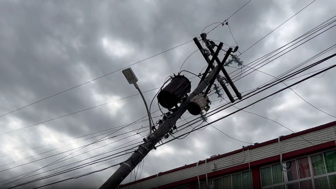 Derriban fuertes ráfagas de viento árboles y postes en Matamoros