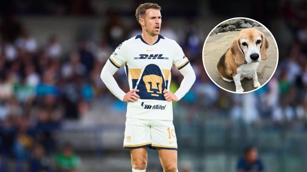 ramsey_perro_e85f32a78b