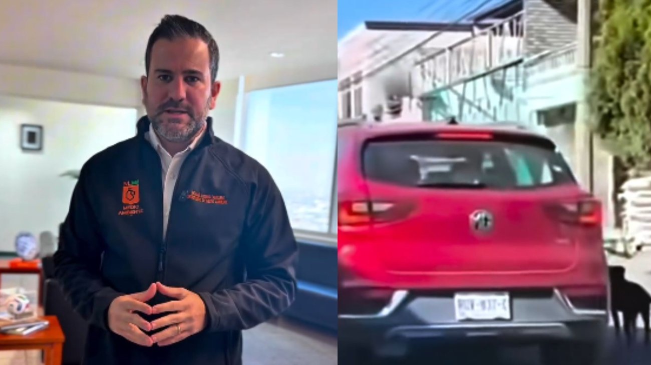 Presentan denuncia e investigan abandono de perro en Apodaca