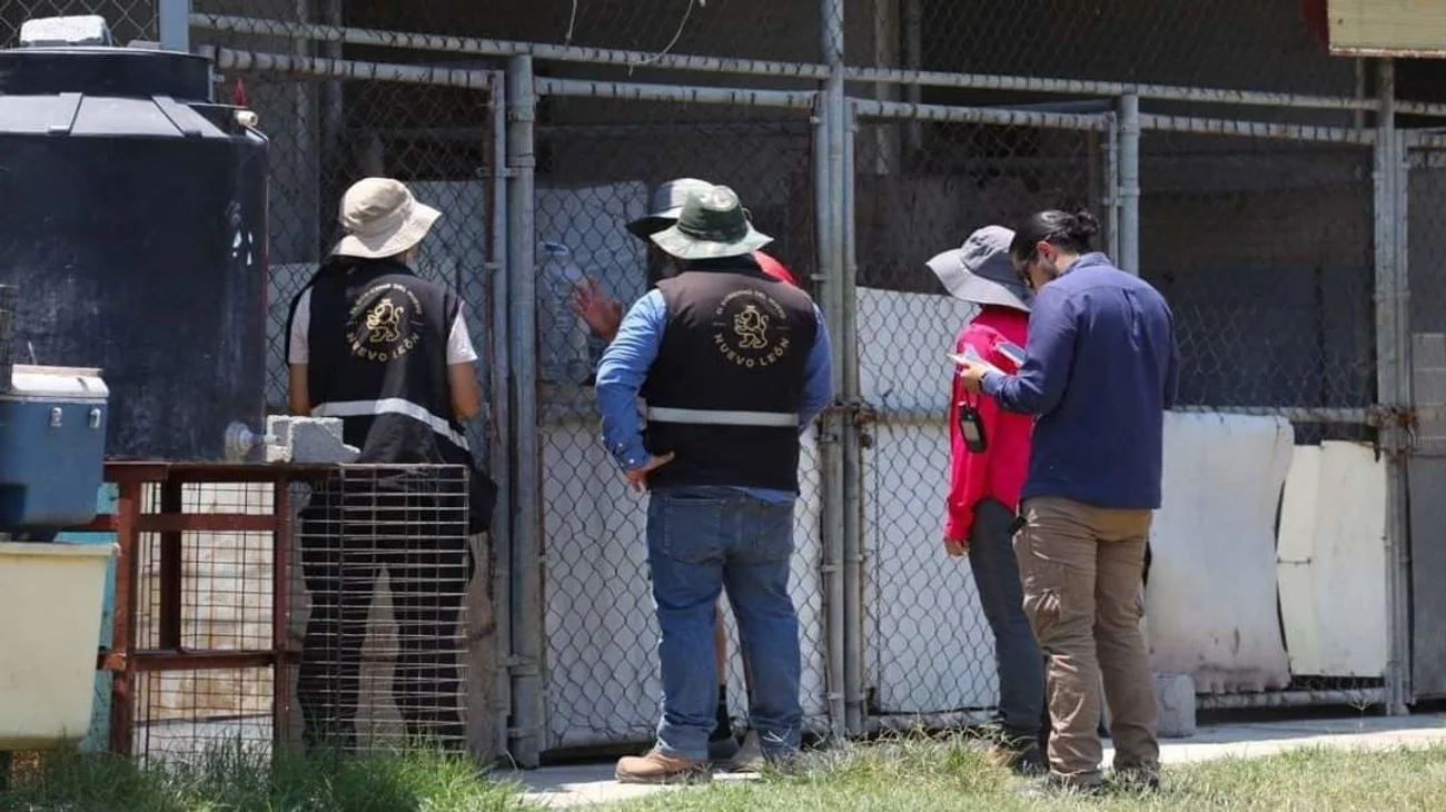 Rescata Estado a 28 perritos de criadero; buscan hogar