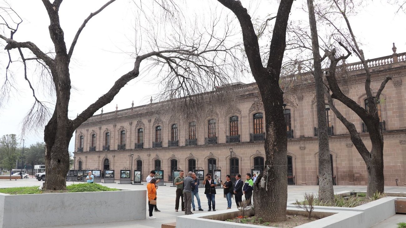 Anuncian proyecto de reforestación en Explanada Cultural 