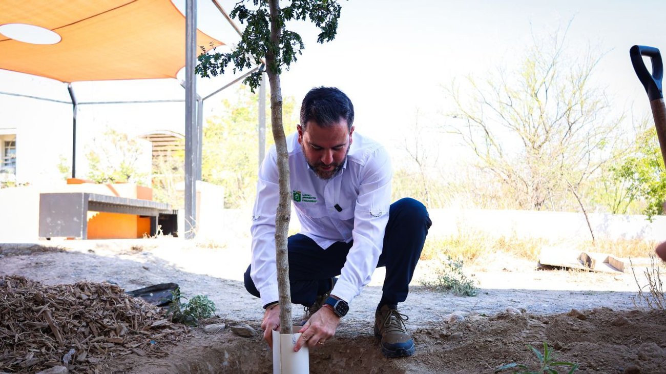 reforestando_secretaria_medio_ambiente_0f1cb26982