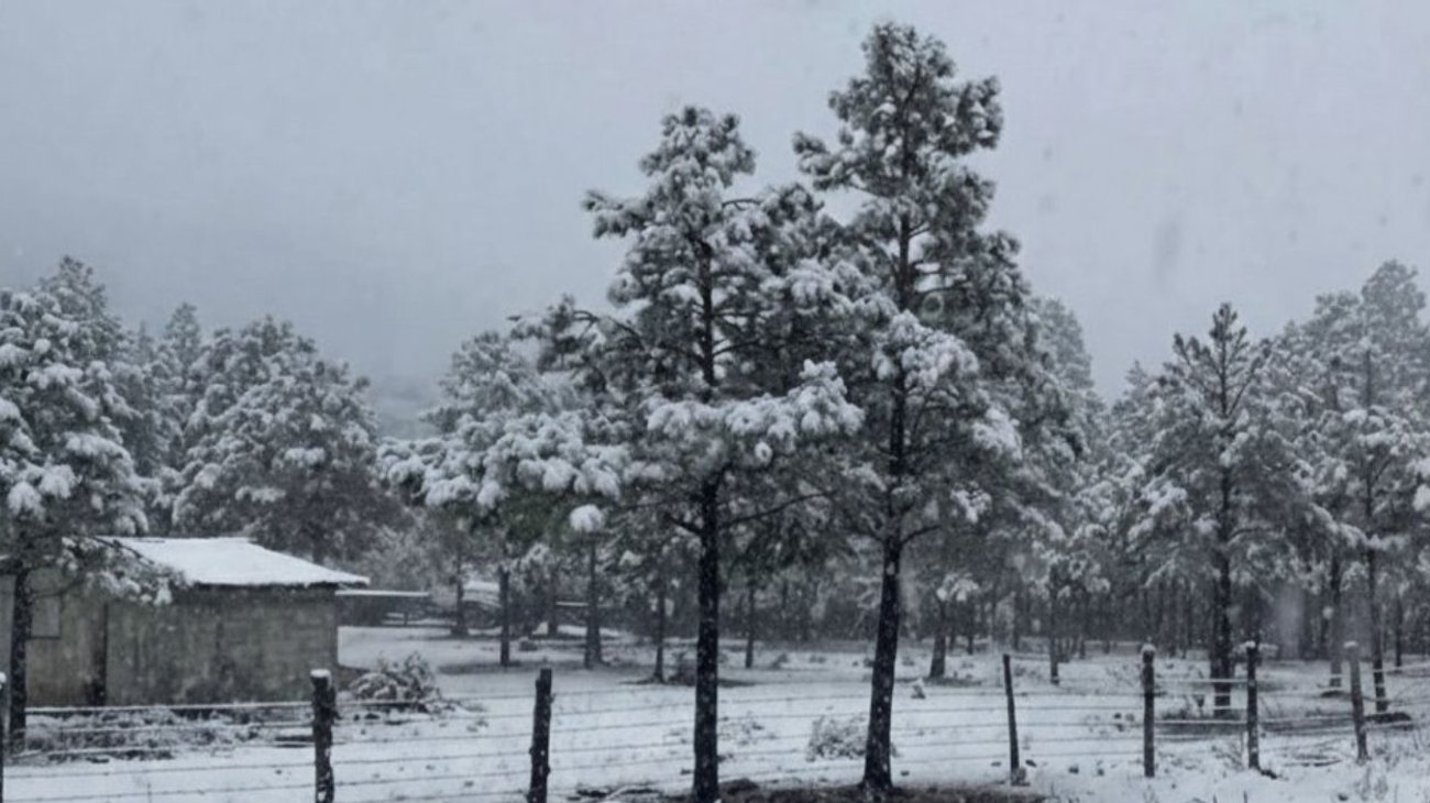 refuerzan_protocolos_tormenta_invernal_mexico_fa6041b06f