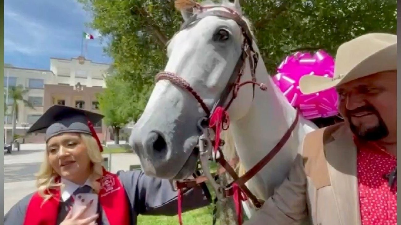 Acude a graduación de su hija y lleva de regalo un caballo
