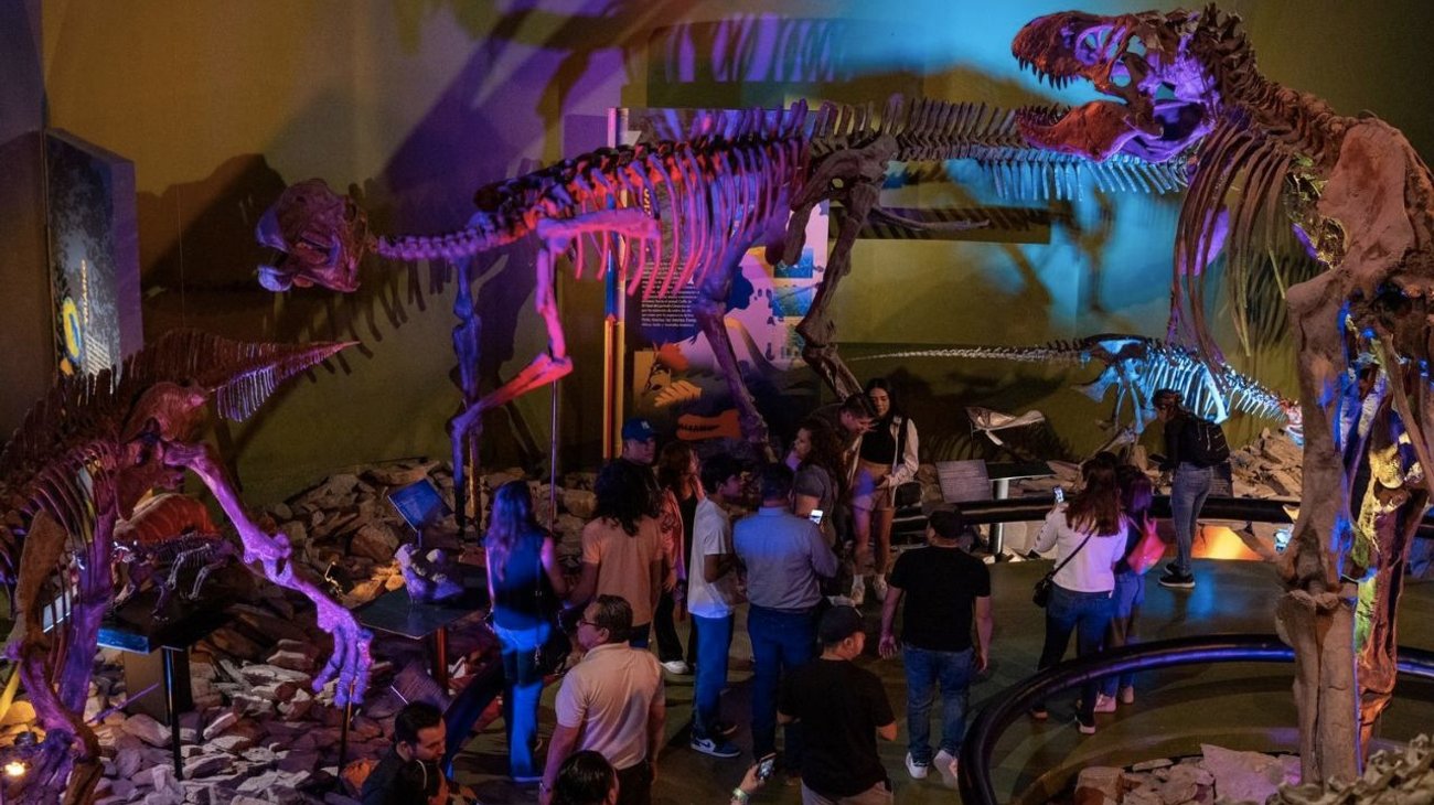 Registra Museo del Desierto auge turístico en Semana Santa