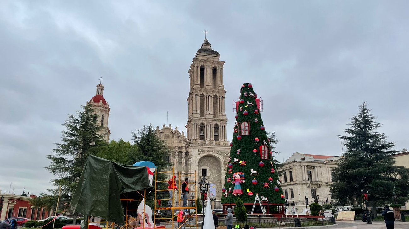 Regresa el espíritu navideño con pino monumental en Saltillo