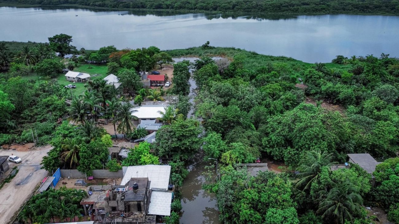 Reportan presencia de peces y cocodrilos en Chetumal