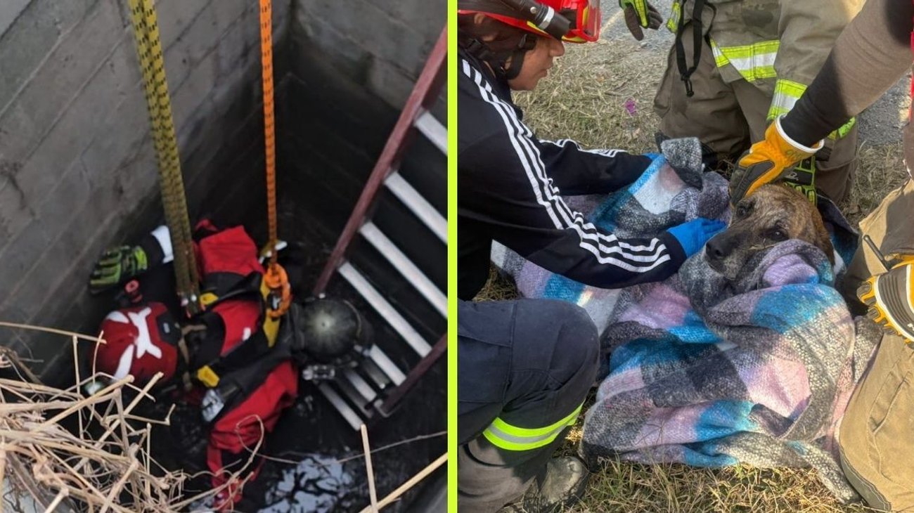 rescatan_a_perrita_cisterna_monterrey_ef77e39314