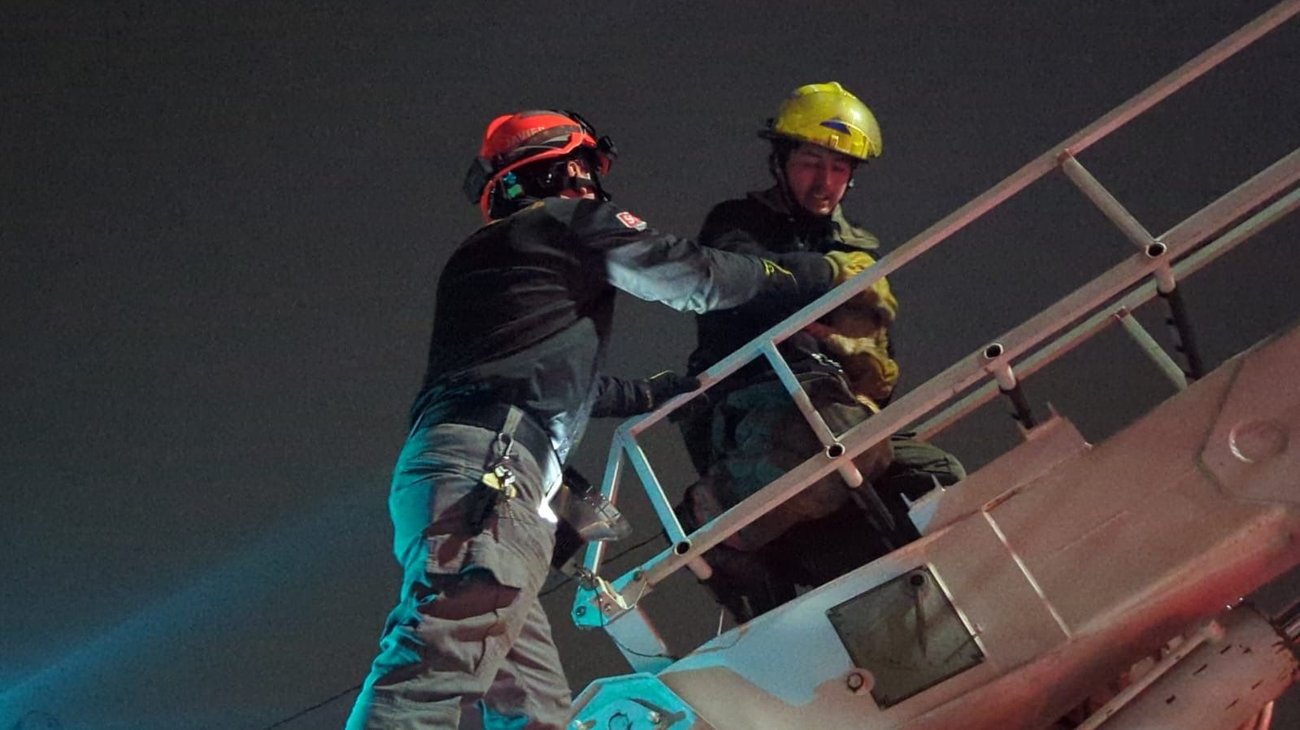 rescatan_gatito_2_bdd3b87d27