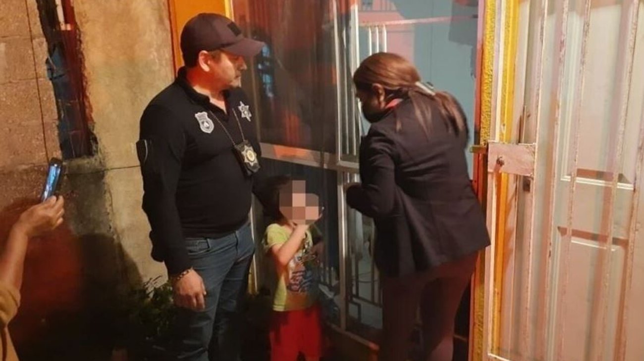 Niños intentan cocinar cadáver de gato para alimentarse