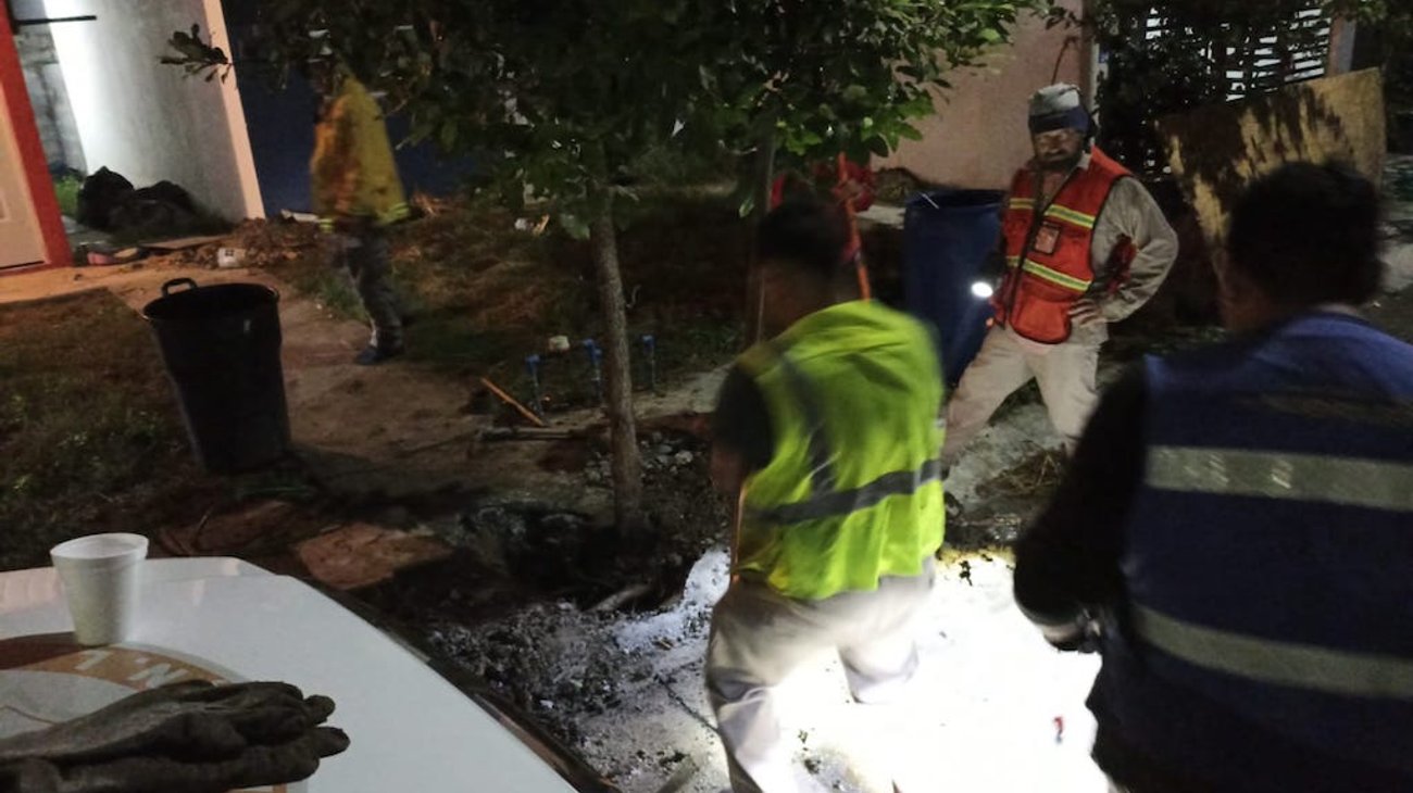 Rescatan a perrito atorado en tubería y a 7 más abandonados