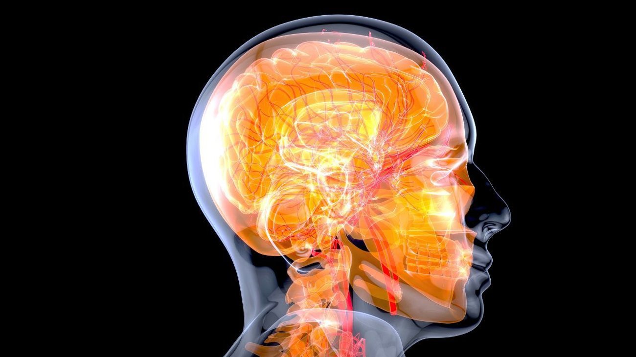 Revela estudio en neurociencia que tenemos 7 sentidos y no 5