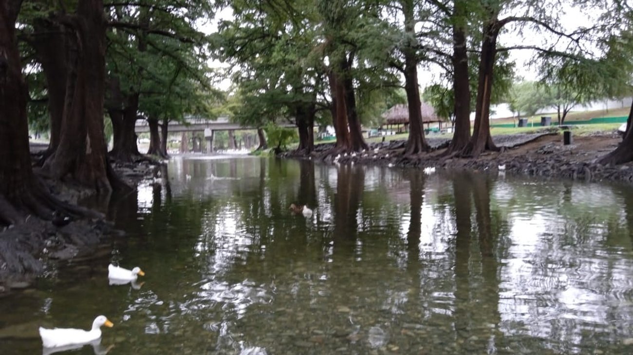 Río la Silla 'revive' con las intensas lluvias registradas