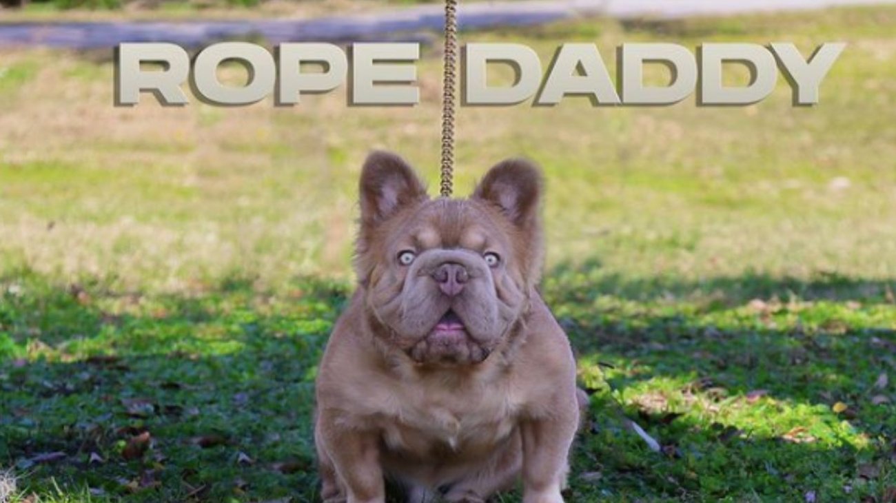 Rope Daddy: El canino más valioso de la Tierra