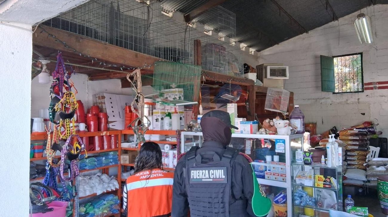 Refuerza NL operativo contra pirotecnia ilegal previo Año Nuevo