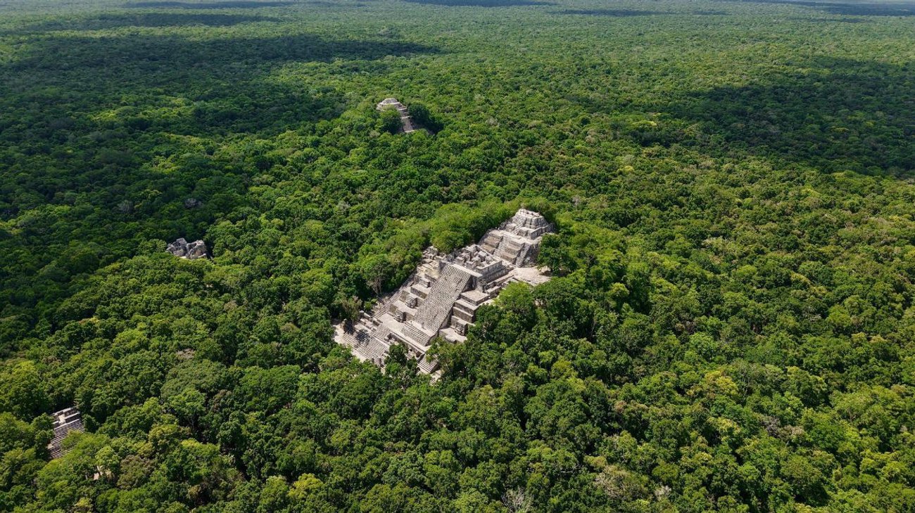 selva_maya_sheinbaum_1f1b9f619c