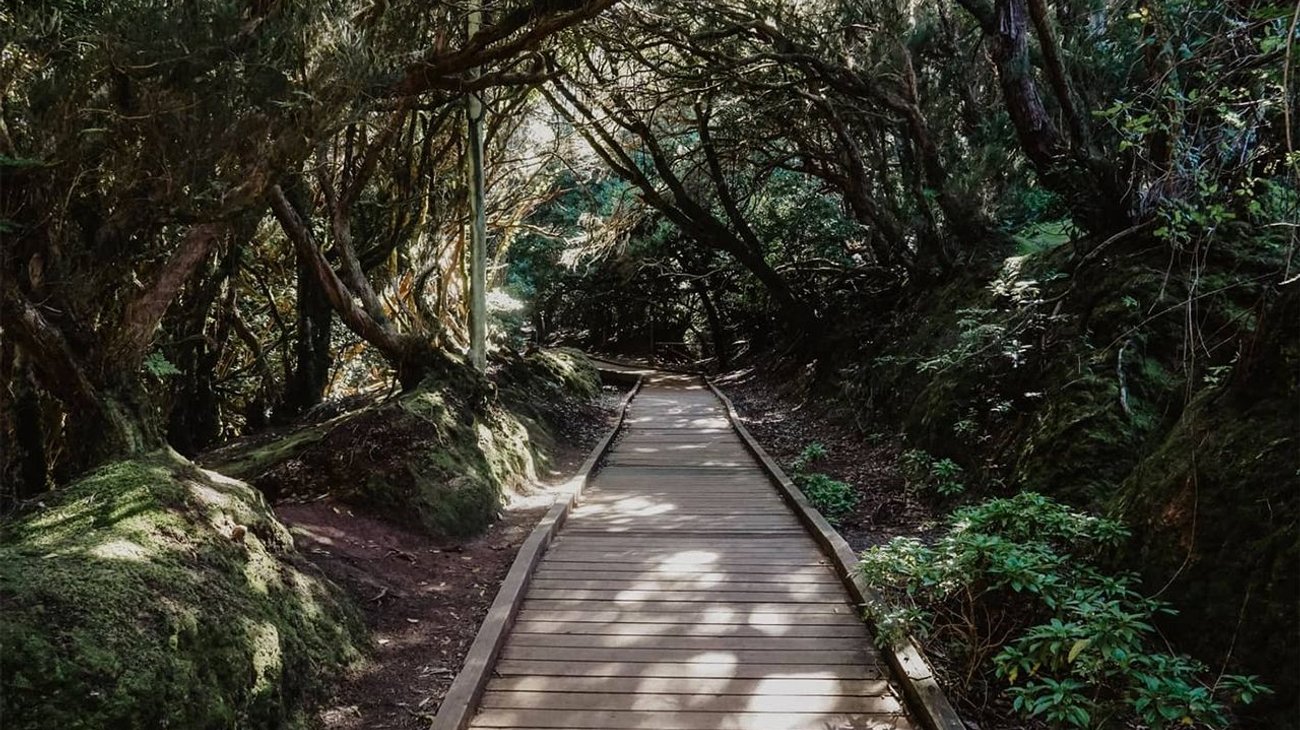Practicaba senderismo mujer holandesa y fallece en Tenerife