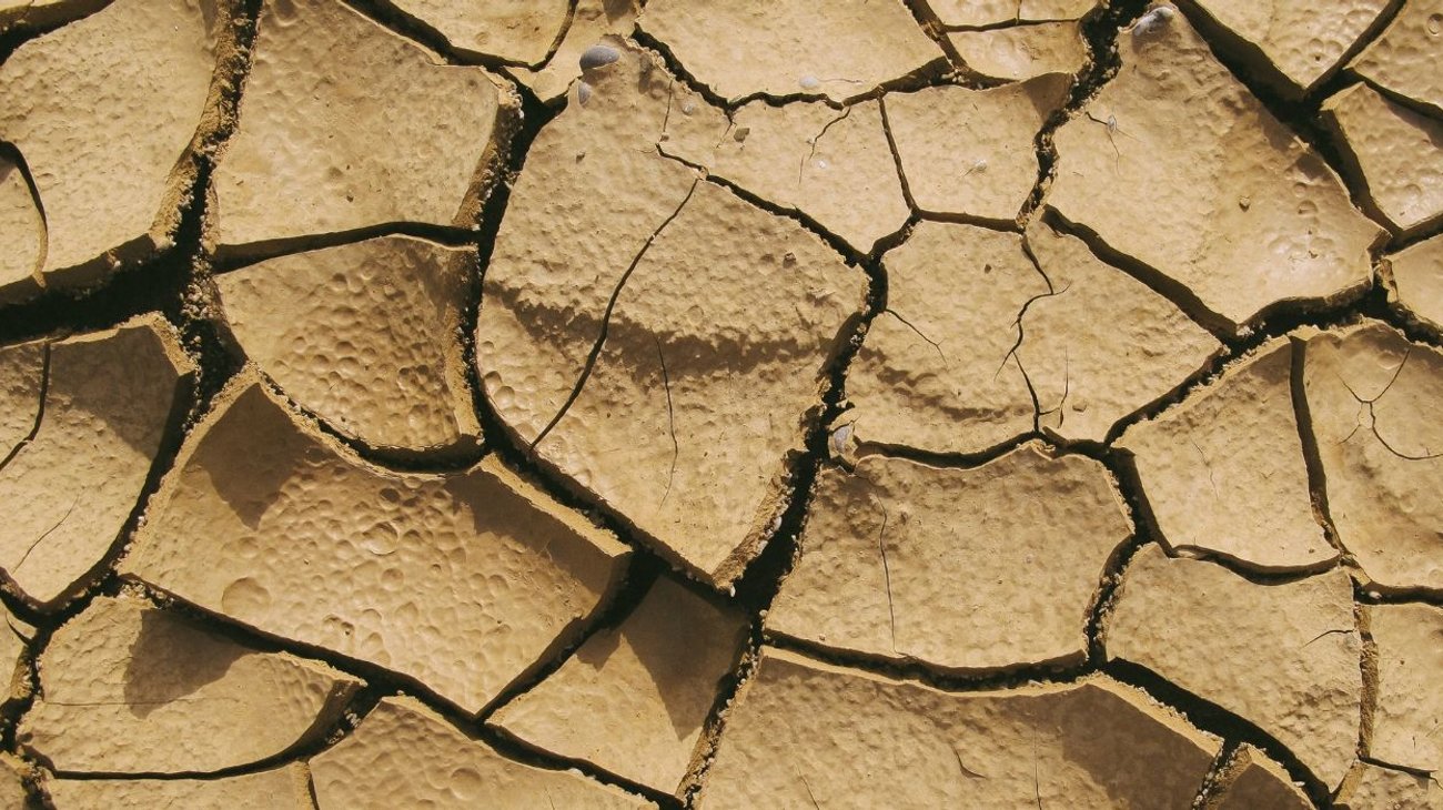 sequia_bajos_niveles_de_presa_reynosa_0730b9cd80