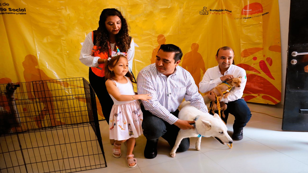 Santa Catarina ha dado 4 mil servicios a mascotas este año