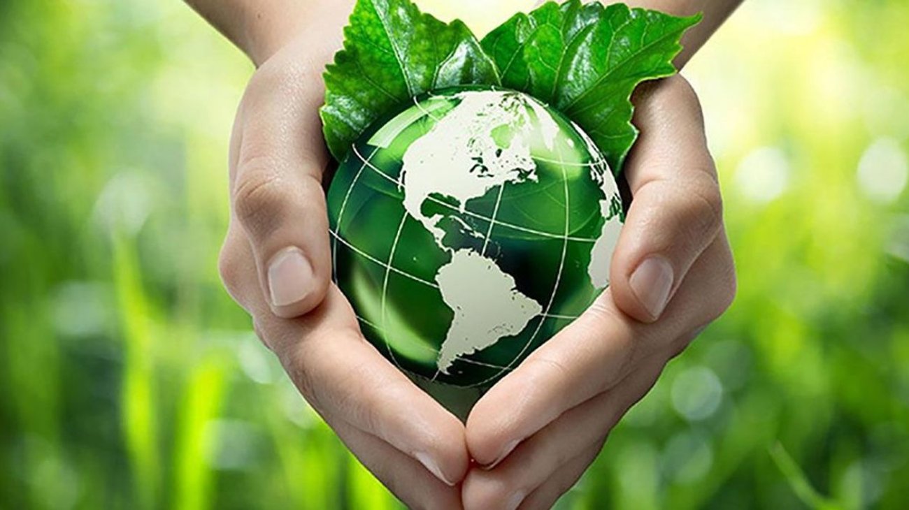 sheinbaum_ambientales_programas_d97431aada