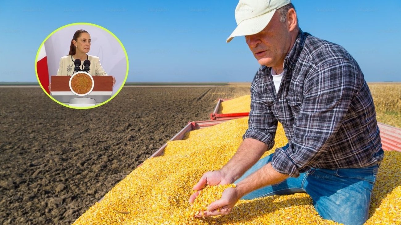 sheinbaum_grano_agricultores_e06811ef11