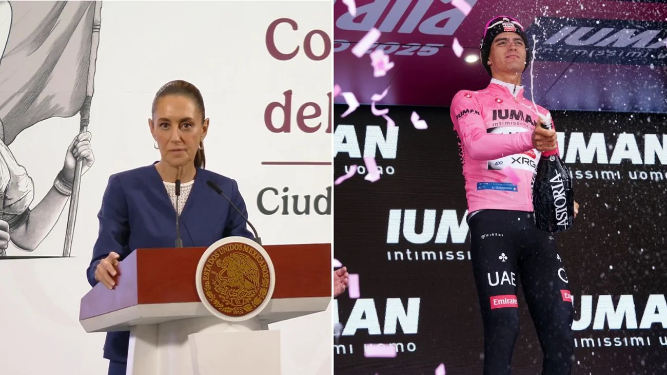 sheinbaum_toro_54a163d568