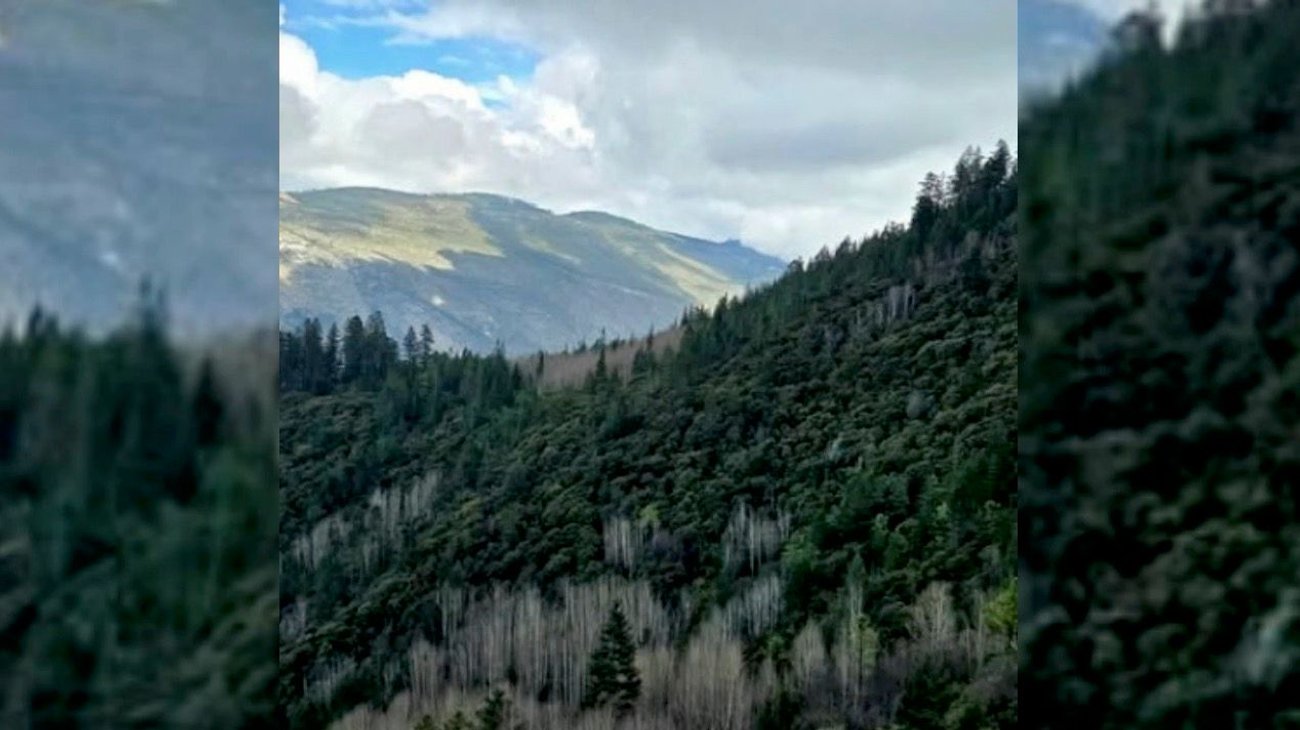 sierra_arteaga_detenidos_7d92a11f37