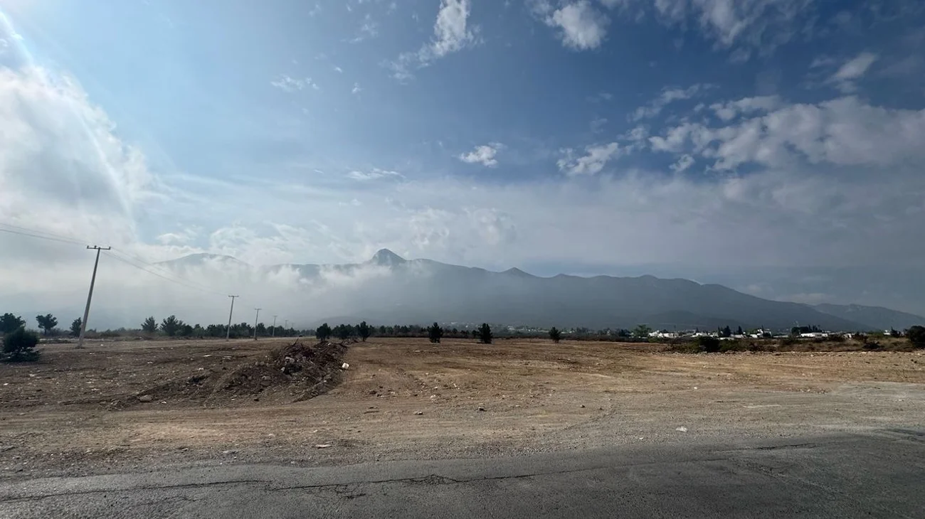 Denuncian tala de árboles y desmonte en la Sierra Zapalinamé