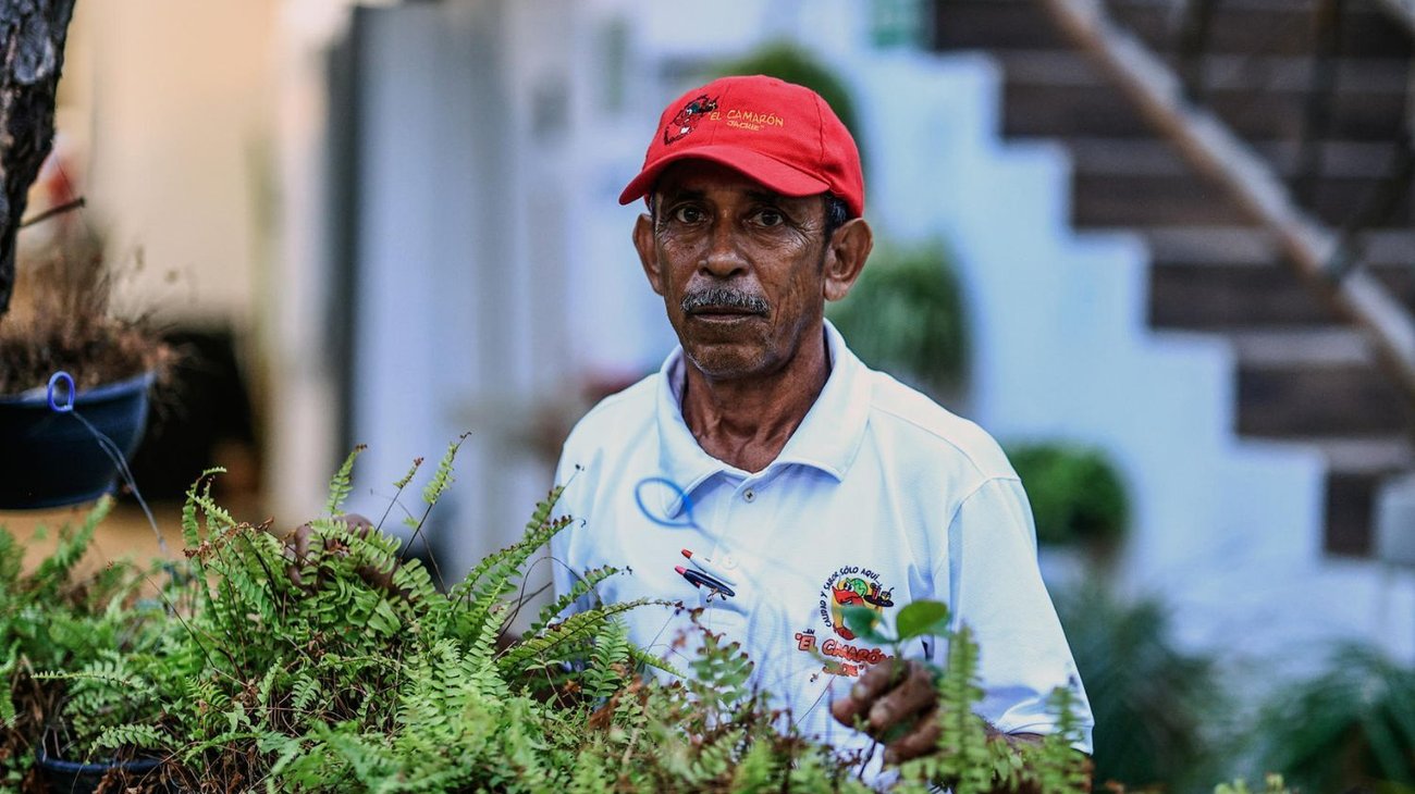 Sobrevivió dos días bajo los escombros tras huracán Otis