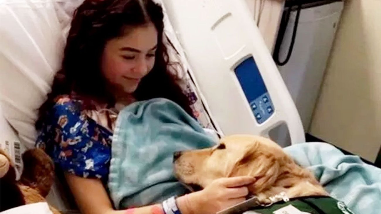 Sobrevivió dos veces al cáncer y murió en accidente vial