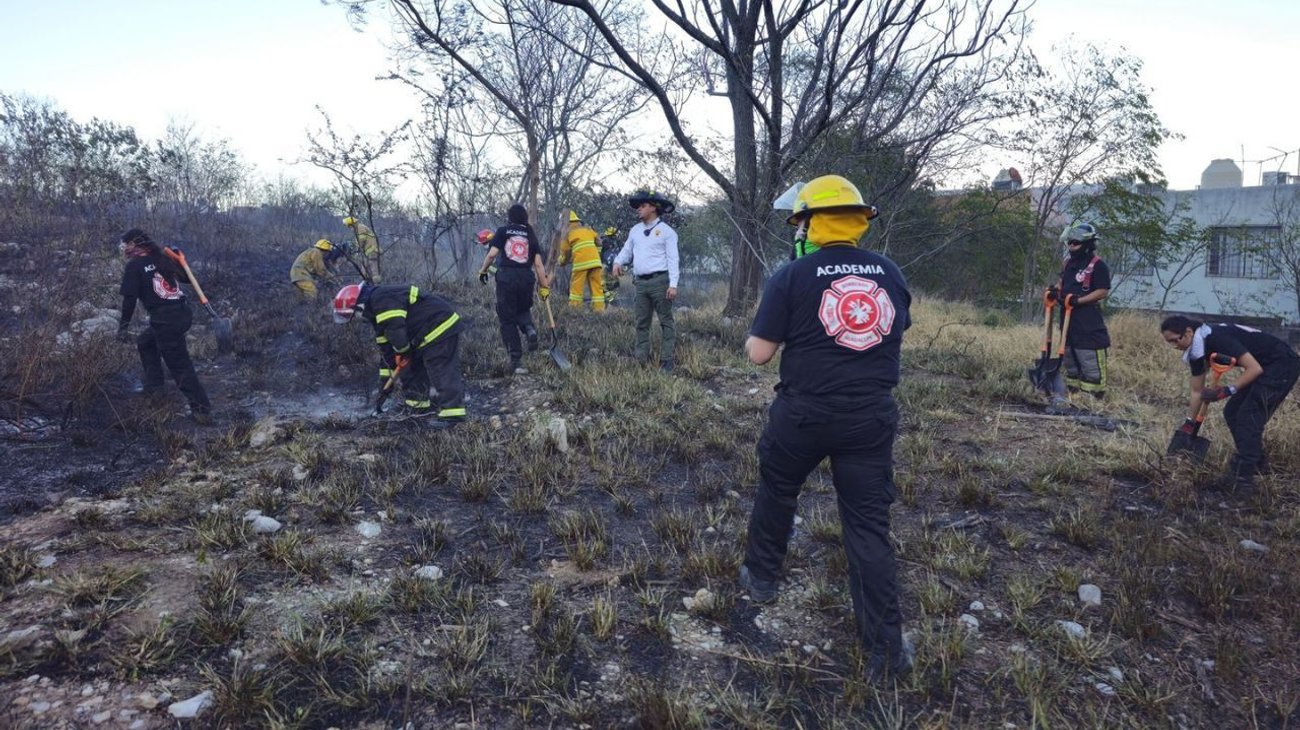 Sofocan incendio en zona alta del Cerro de La Silla