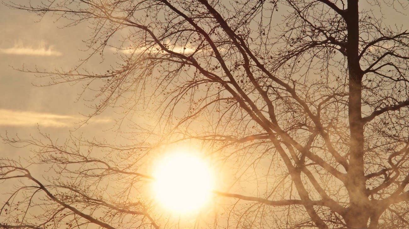 Temperatura en Moscú bate el récord de calor de 129 años