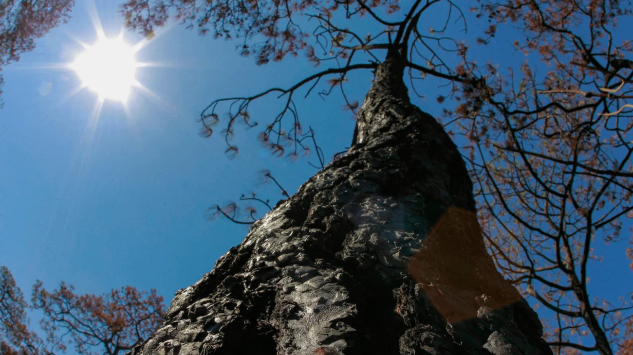 Alcanzarán 22 estados temperaturas superiores a 40 grados