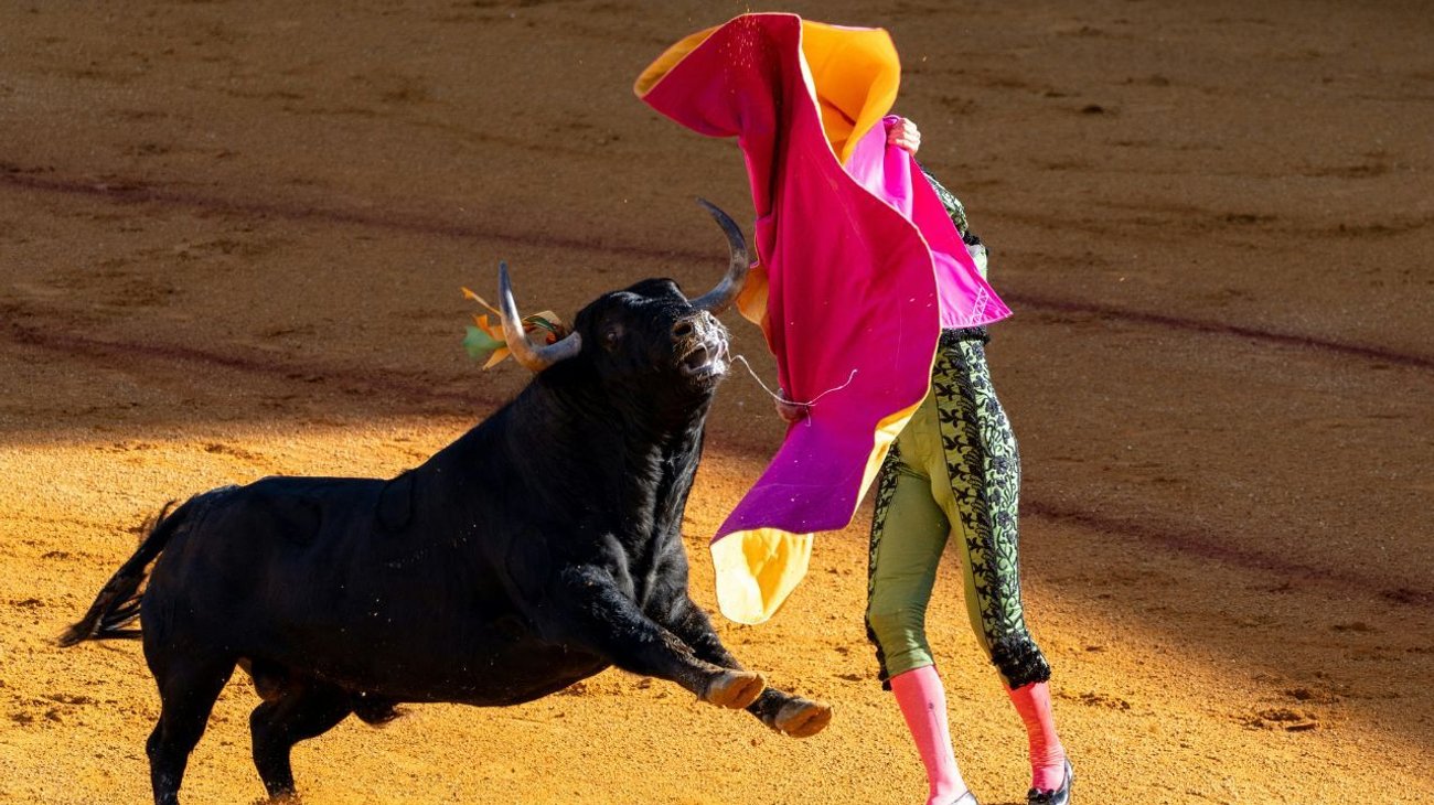 Suspenden corridas de toros en Ciudad de México