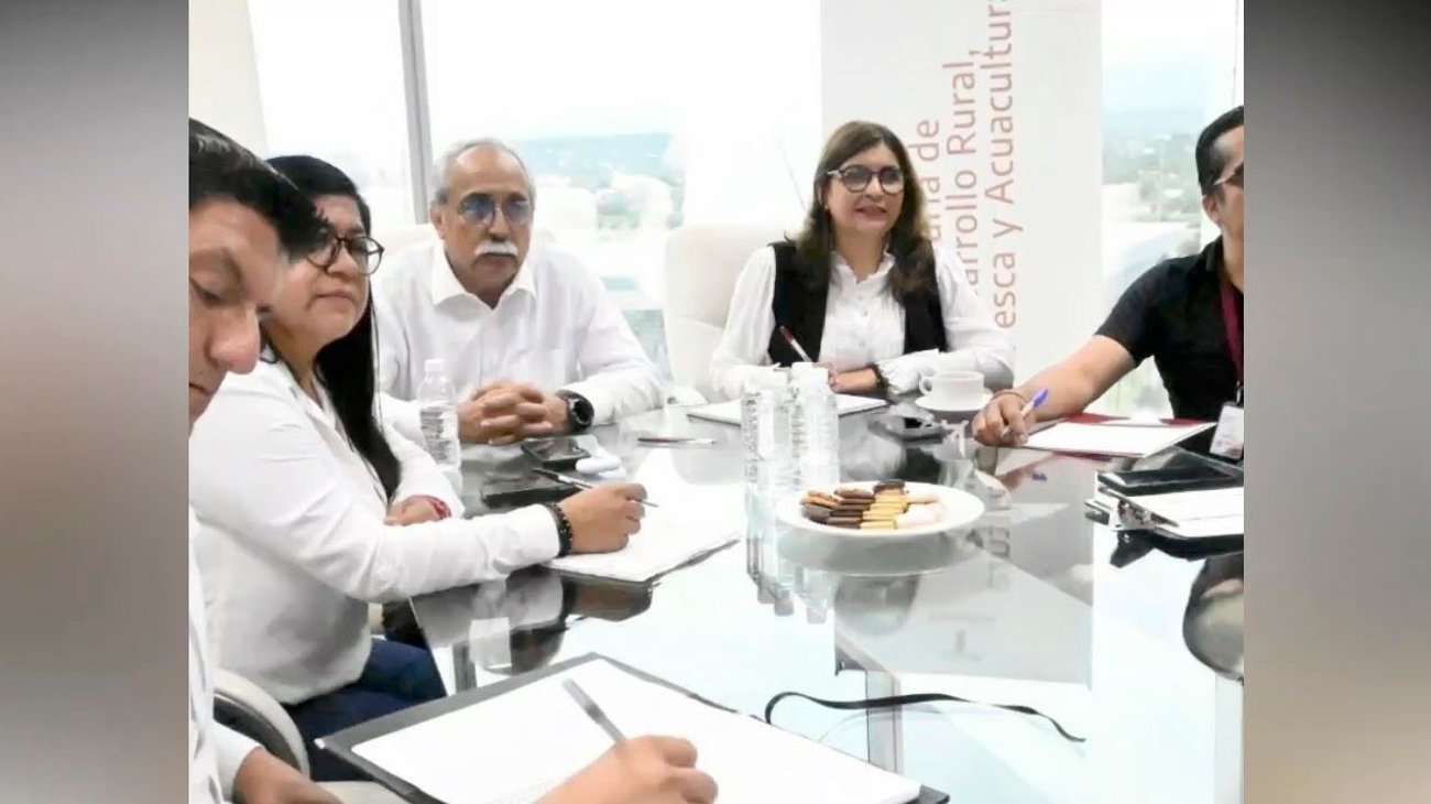 Analiza Tamaulipas alternativas para recuperación de ecosistemas