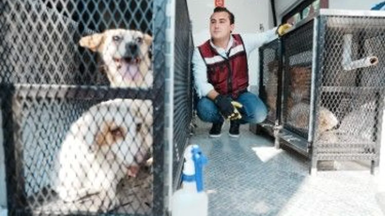 thumbnail_4ac32ca9_c231_41d4_9cae_5bb99a77cee2_42c87f143e