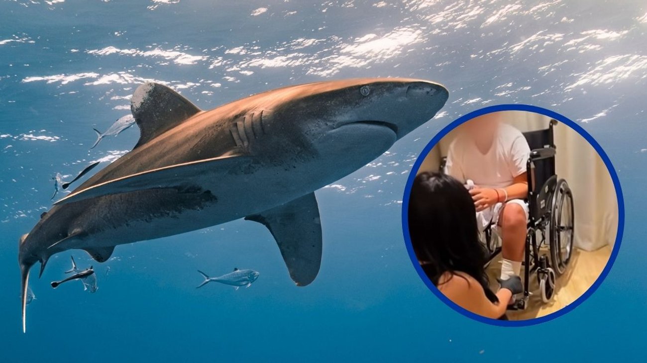 Hijo menor de Jorge D'Alessio fue mordido por un tiburón en Tulum