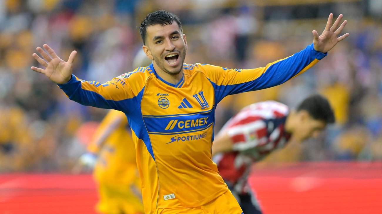 tigres_06f5859274