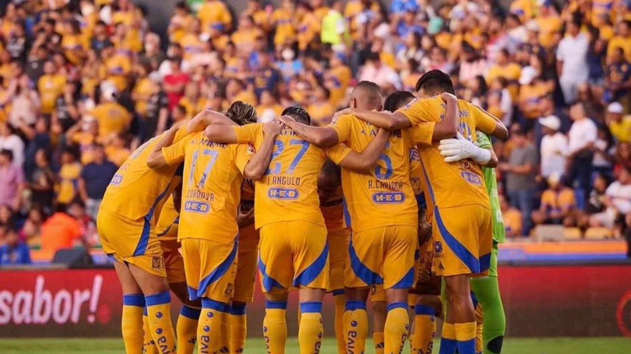Lanzan cuenta oficial de la Fundación Tigres