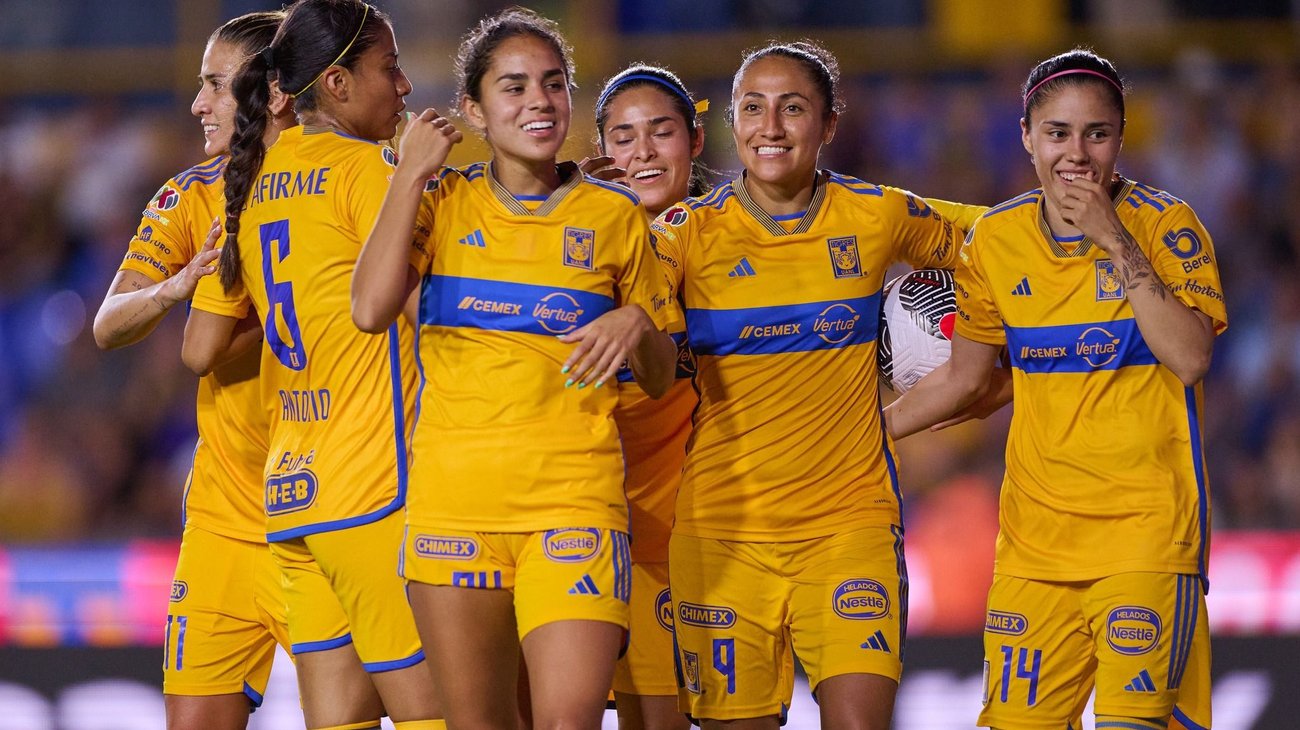 tigres_juego_aa6ca15770