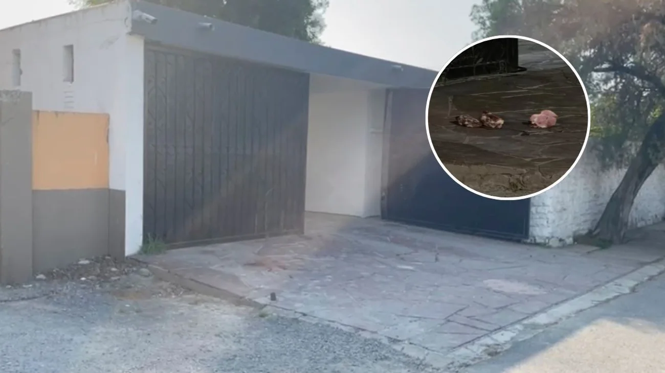 Tiran pedazos de carne afuera del CODE de Montemorelos