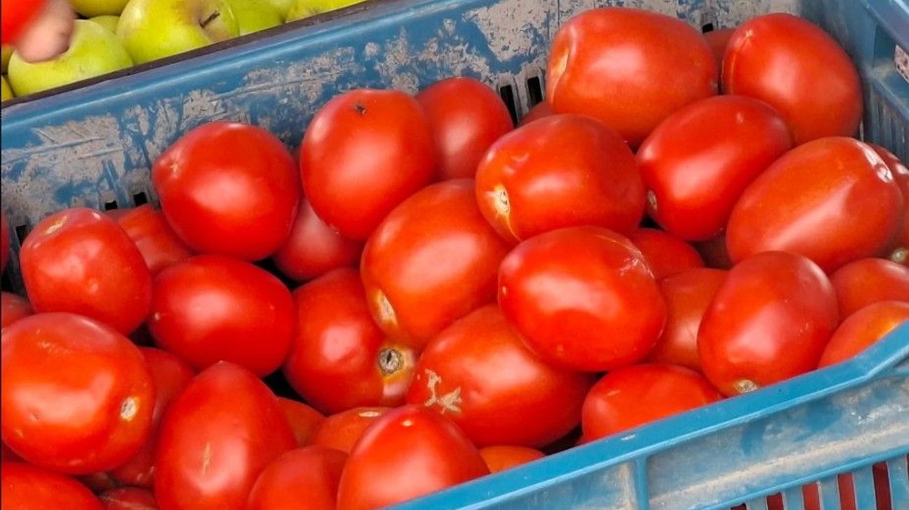 Asegura Hacienda que inflación se debe a alto precio del tomate
