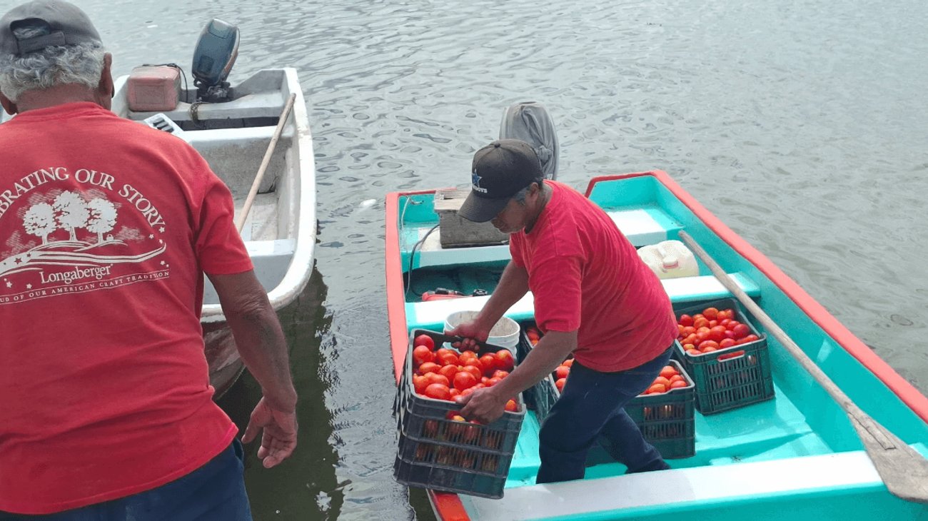 tomates_archivo_84494f9b90