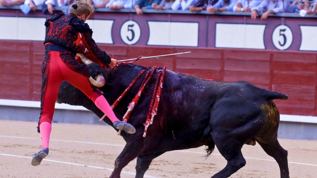 Así fue la fuerte cornada que sufrió el torero Clemente en Madrid
