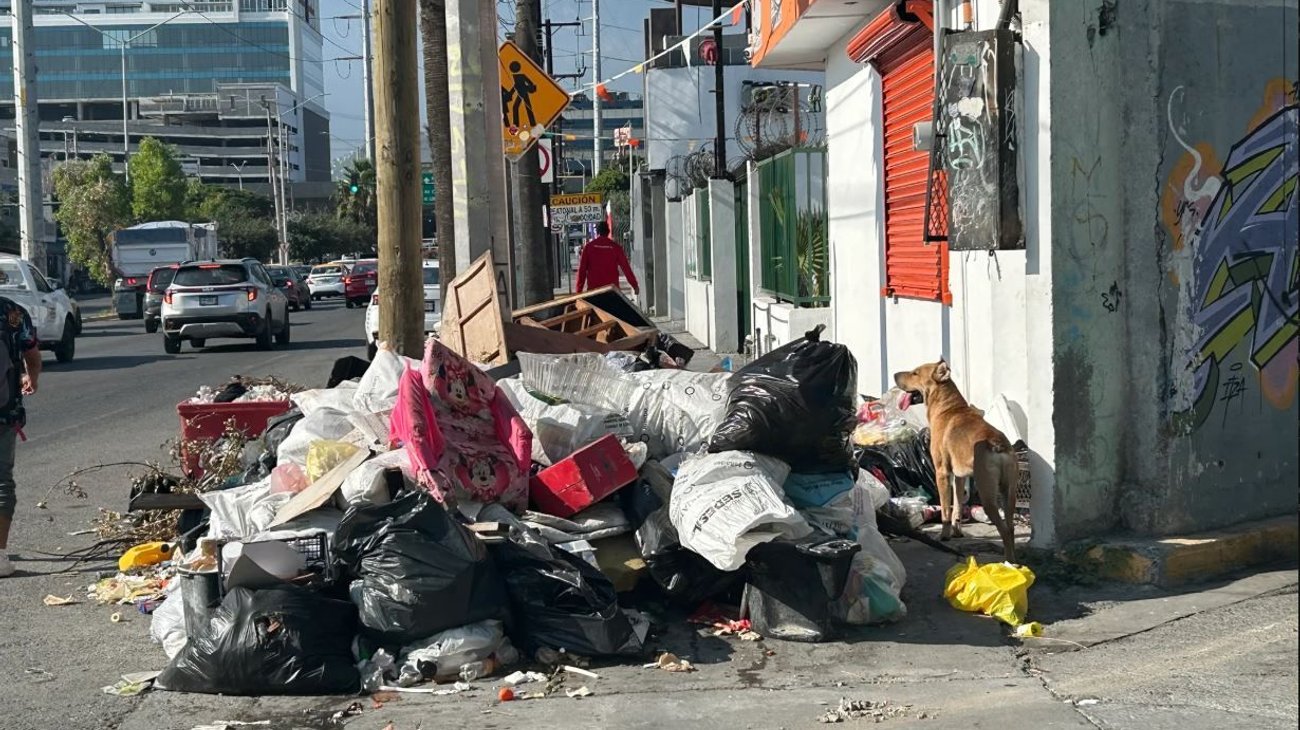 Basureros afecta a vecinos y estudiantes en La Industrial